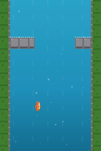 Salmon swimming up the river toward a rock barrier