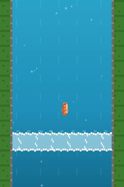 The salmon dashing up and over a waterfall